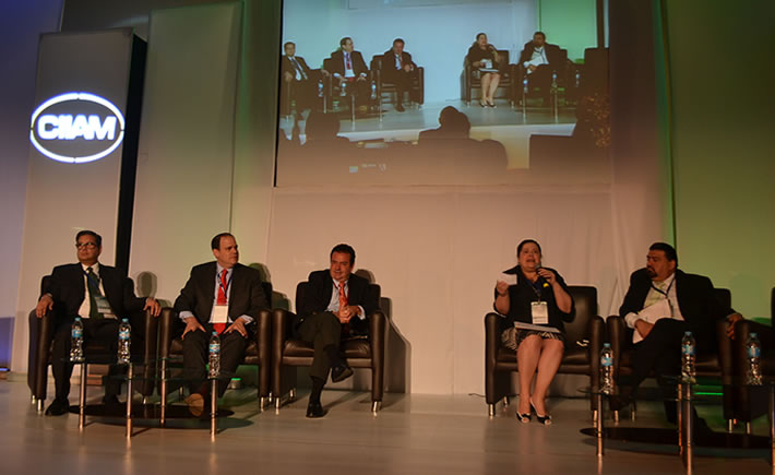 Verónica Orendain, directora General de Industrias Pesadas y Alta Tecnología de la SE, señaló que la dependencia también desea ver que la industria sea para 2020 una plataforma avanzada. (Foto: VI).