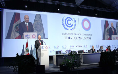 Compromiso en COP20, mitigar contaminantes de vida corta